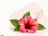 Thoughtful Formulations